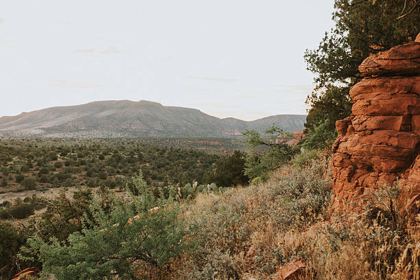 A scenic desert landscape with a dirt road in Arizona