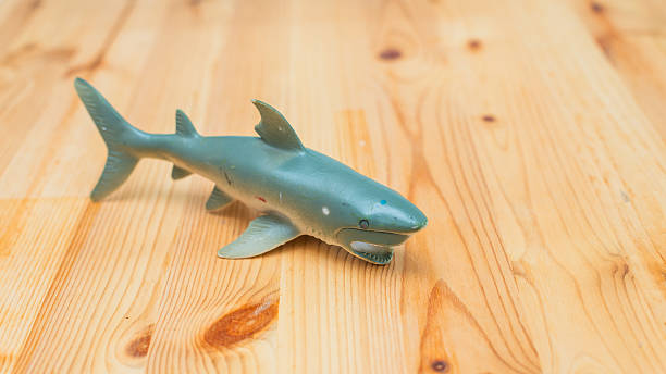 istock Toy shark swimming wooden surface indoor setting close-up image playful environment 2251943028