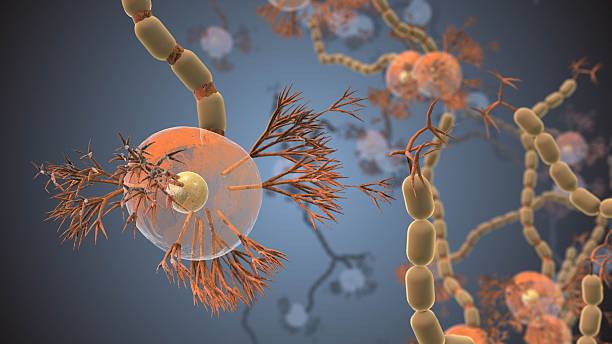 Antibodies Attacking a Neuron. Concept of Autoimmune Neurologic Diseases