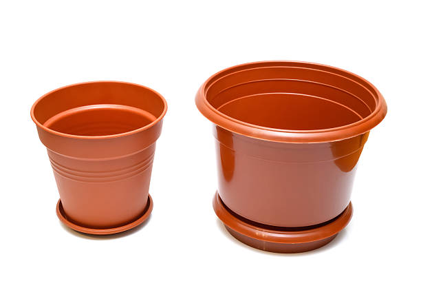 two new empty plastic flower pots of different sizes with saucers, placed side by side and isolated on a white background, symbolizing the growth and repotting of houseplants