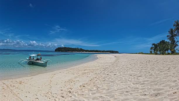 Aerial view of a beautiful beach on Siquijor island Philippines