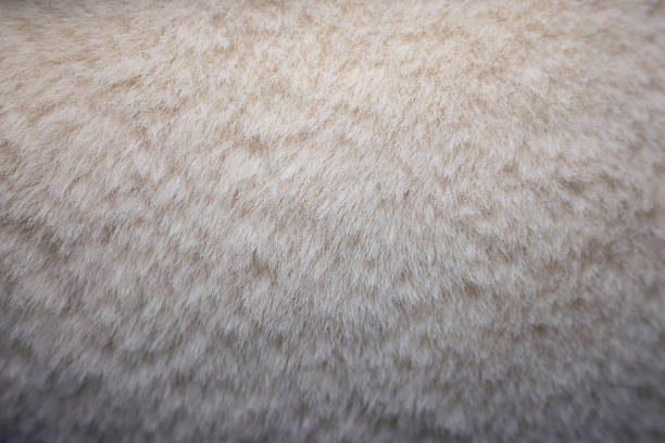 istock Luxurious soft white faux fur texture background 2251961559