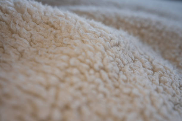 istock Cozy cream-colored sherpa fleece texture for background 2251961996
