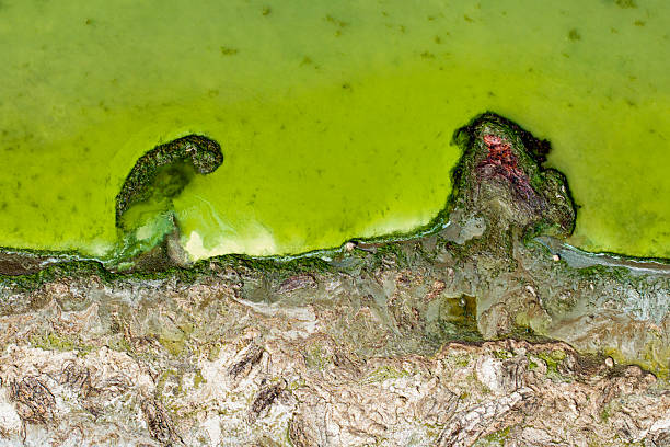 Dangers and droughts affecting lakes,Abstract photography, backgrounds for billboards, global climate-themed photographs. The magical beauty of colors. The colors and patterns of lakes and rivers.