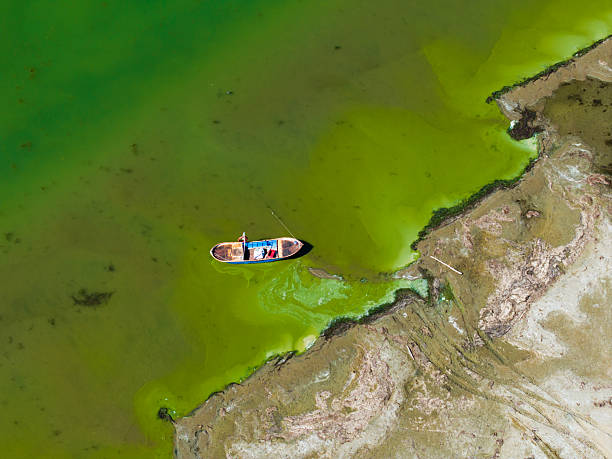 Dangers and droughts affecting lakes,Abstract photography, backgrounds for billboards, global climate-themed photographs. The magical beauty of colors. The colors and patterns of lakes and rivers.