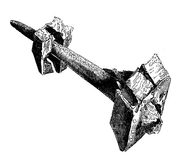 Antique zoology animal illustration: Tusk of swordfish, driven into timbers of a ship