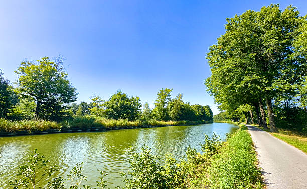 istock Energetic summer stroll beside tranquil green waterway scene 2251978603