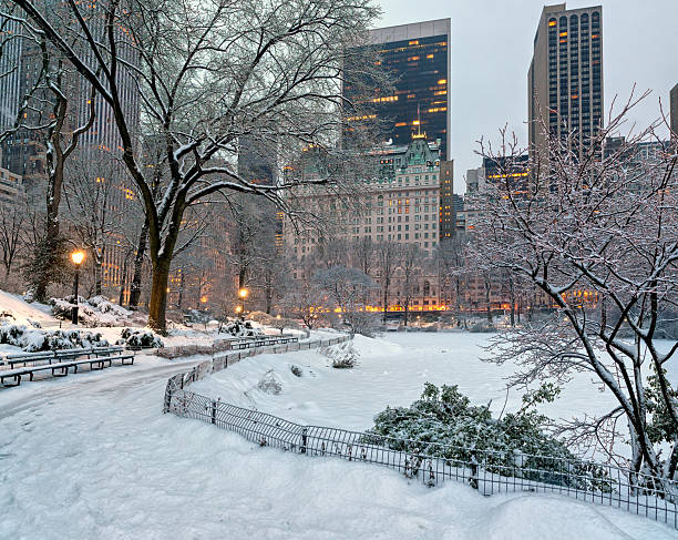 Central Park, New York City, early morning after snow storm
