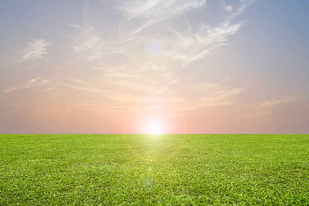 istock Dramatic sky background. sunrise or sunset sky 2251983847