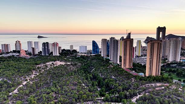 istock Forest Greets City At Dawn, Sunrise Illuminates Coastal Trees Merging Into Distant Skyscraper Horizon 2251987242