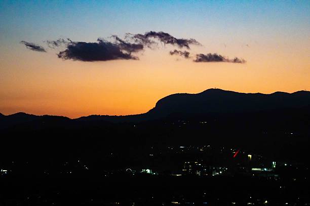 Tops of two cypress trees against a hill and the sunset sky