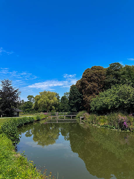 istock Bright tranquil scene, Sunny garden with serene reflections 2251988904