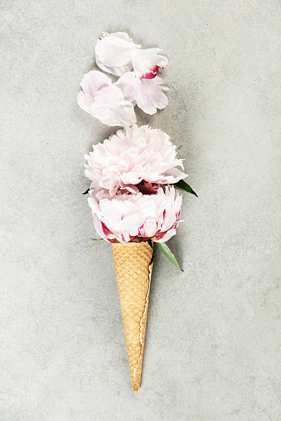 istock Creative Floral Arrangement in Ice Cream Cone on Gray 2251988914