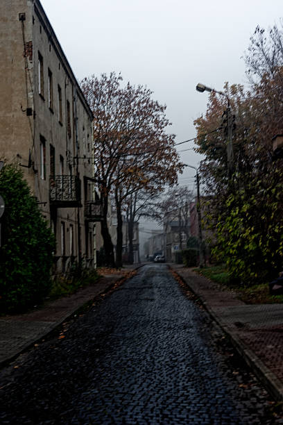 istock Foggy Night in Katowice City Poland 2251990213