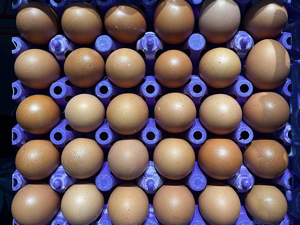 Eggs In The Egg Tray In The Market