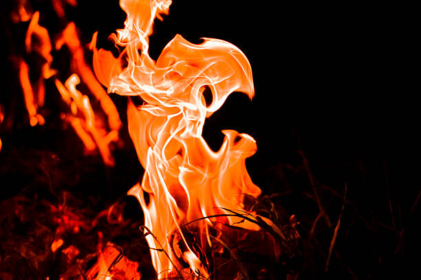 Open burning of grass in the fields. Gorenje. An environmental disaster.