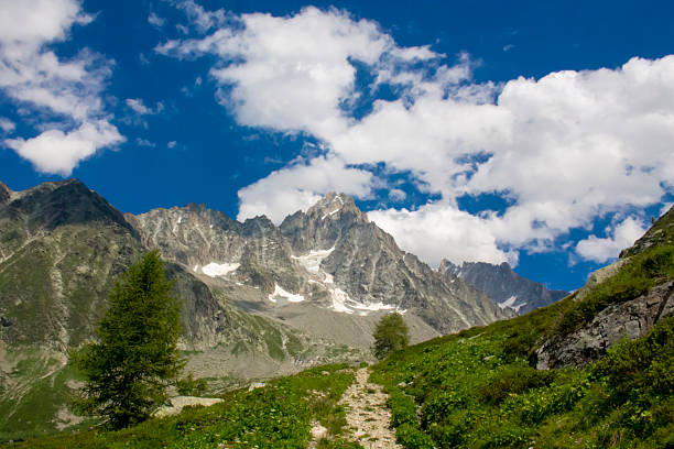 Panoramic mountain landscape in Chamonix with Mont Blanc massif, alpine peaks, glaciers, valleys, snow capped ridges, clear sky, European Alps scenery, natural terrain, high altitude environment area