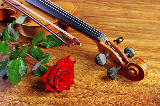 Violin sheet music and rose black composition still life music