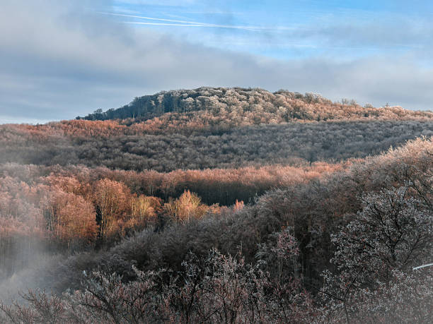 Soft winter light illuminates layered forested hills rising above low fog. Calm and minimal mountain scenery with bare trees and gentle colors, captured in the Bükk Mountains, Látókövek, Hungary.