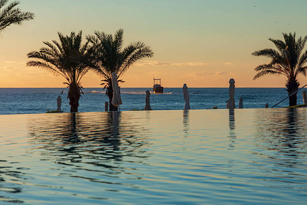 View of the outdoor pool by the sea. There is a lush palm tree next to the pool. World's End Park, Sanya, China. Rest and relaxation concept