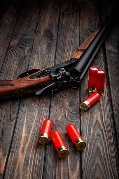 istock Classic hunting shotgun and bright red shells on dark rustic wood background. 2252012473