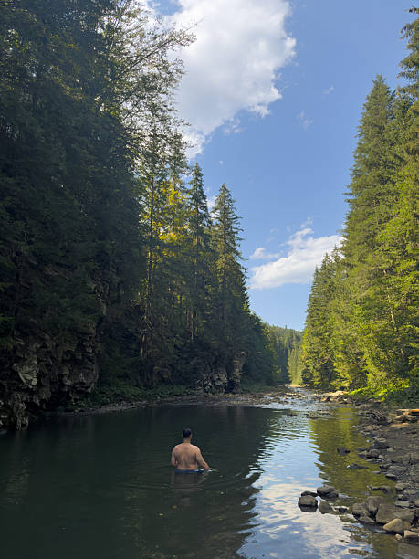 istock Person Wading in a Serene Forest River 2252013525