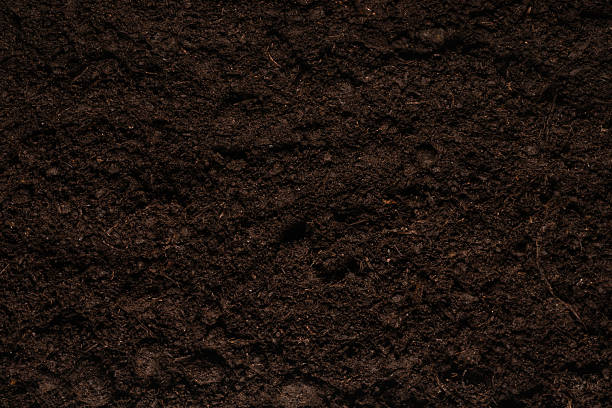 istock Black land for plant background. 2252015946