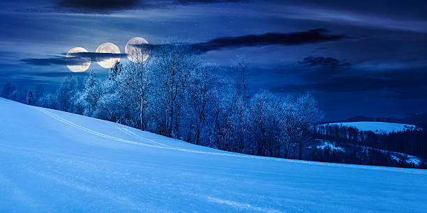 istock panorama of a beautiful winter landscape at night 2252016338