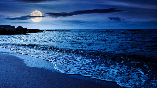 istock panoramic view of sand beach landscape at night 2252016374