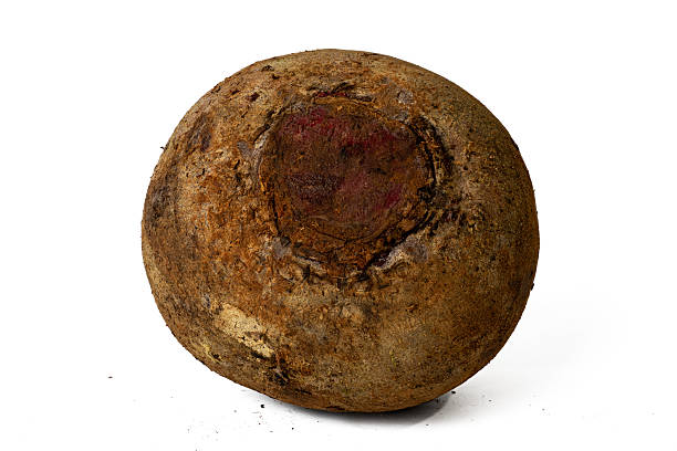 istock Photo of raw fresh beetroot taken with a high-resolution camera using the focus-stacking technique on a white background. 2252016490