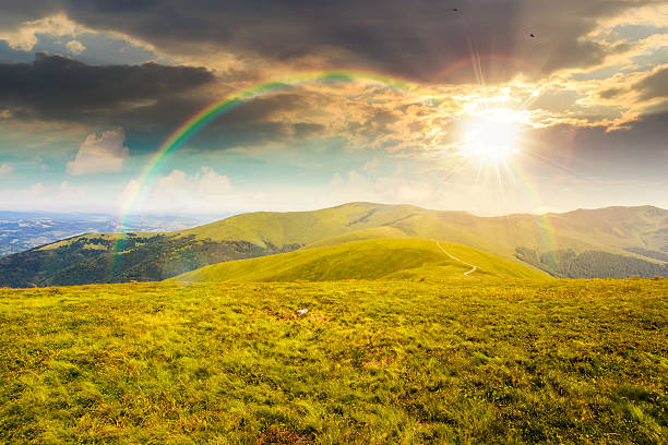 istock alpine meadows in mountains in summer at sunset 2252016628