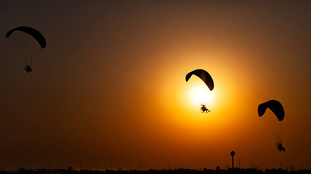 Paramotor pilots approaching the airfield for landing together in formation at sunset.