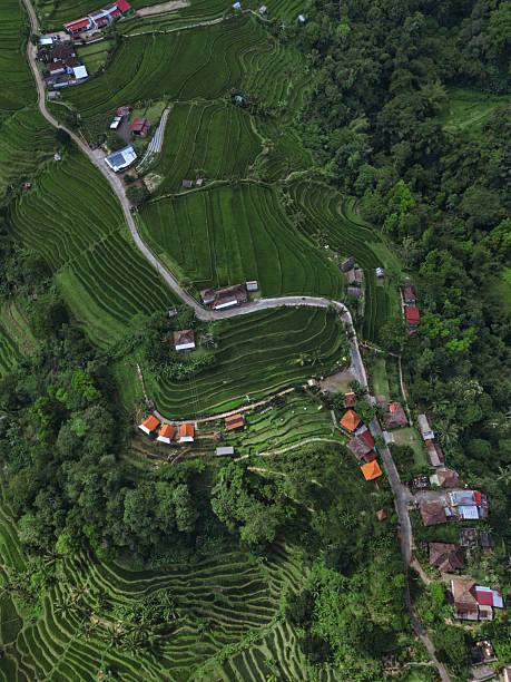 istock Idyllic Bali Countryside Featuring Winding Mountain Roads 2252022811