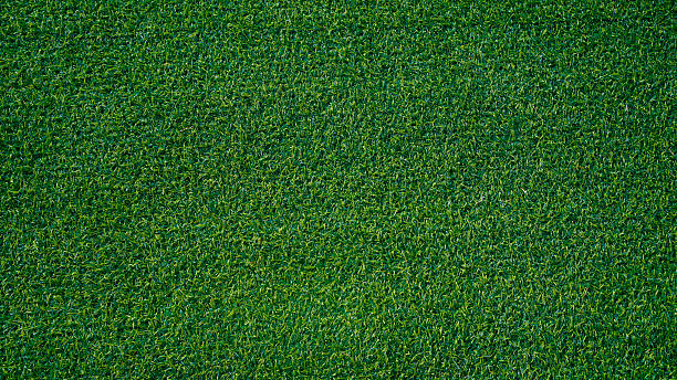 istock Green grass background, top view background of garden bright grass concept used for making green backdrop. 2252029049