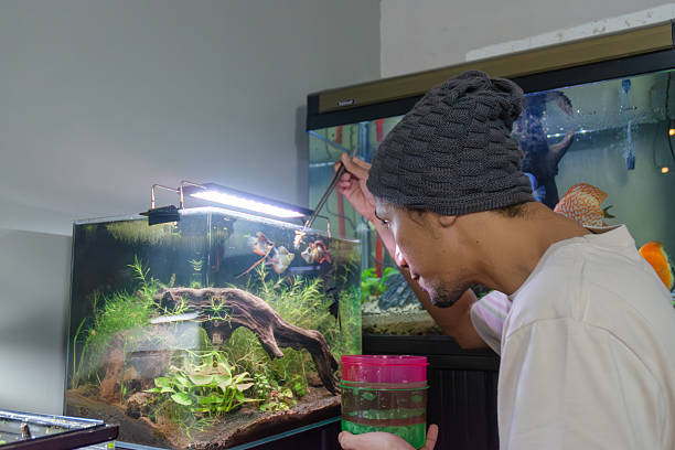 istock Asian Man Feeding Fish in Aquascape Aquarium 2252034849