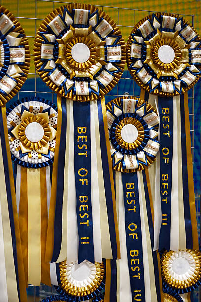 istock Elegant Blue and Gold Award Ribbons 2252040113