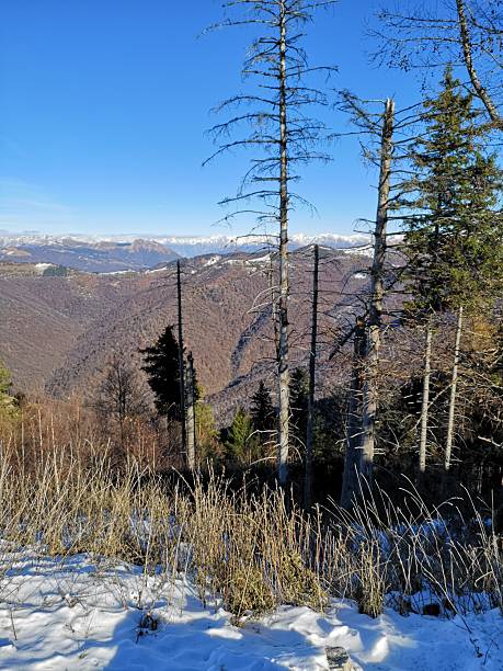 istock View from the top of Mount Bisbino (Lombardy) 2252041525