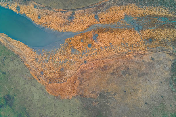 istock Winding river channel separating dense orange marsh vegetation and green fields illustrating hydrological boundary and ecosystem health aerial view 2252043362