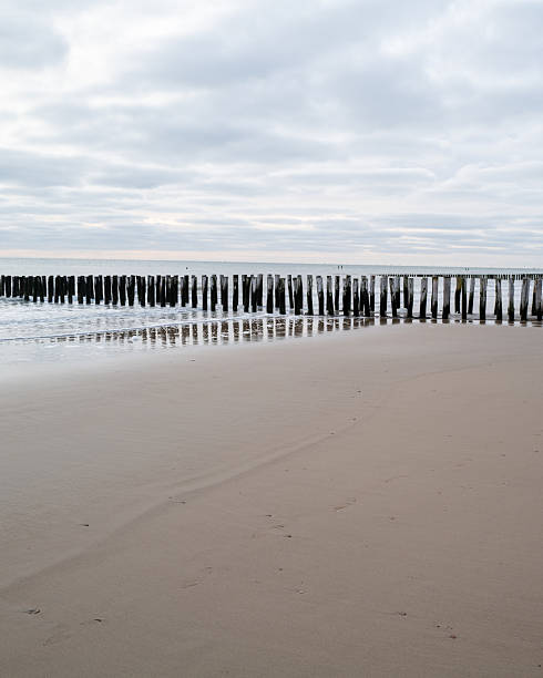 lonely beach with waves and sky in zeeland, the netherlands