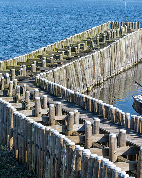 istock breakwaters wooden piles protect the coast 2252061301