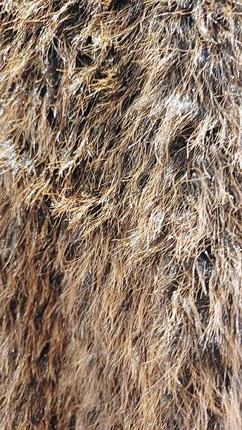 istock Faux fur. Textile product. Background. Text area. 2252062287