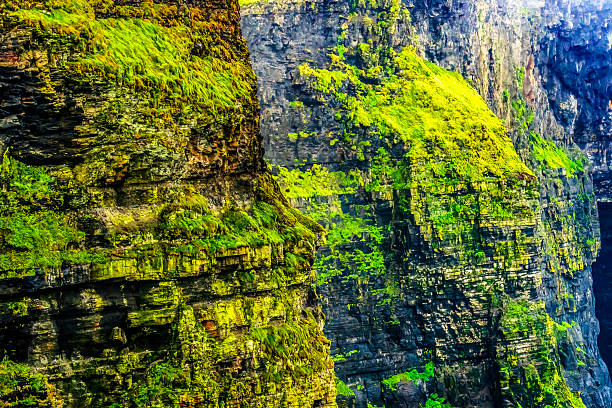 Colorful Green Cliffs of Moher Closeup Claire County Ireland.  Cliffs tower up to 702 Feet over Atlantic Ocean and run for 9 miles along Irish coast. Unesco site one of most visited places in Ireland and site of many movies. Cliffs have nests of seabirds.