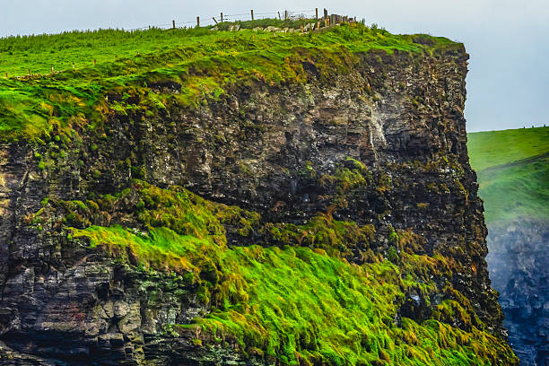 Colorful Cliffs of Moher Claire County Ireland.  Cliffs tower up to 702 Feet over Atlantic Ocean and run for 9 miles along Irish coast. Unesco site one of most visited places in Ireland and site of many movies.