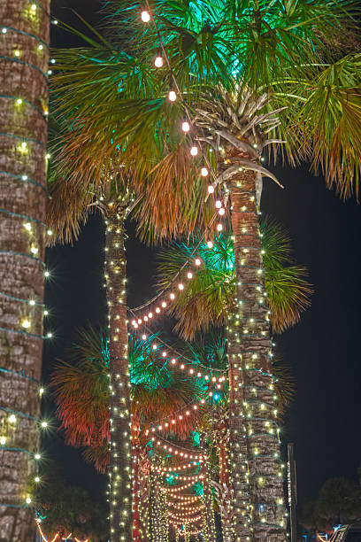 istock Holiday Lights on Palmetto Trees 2252064093