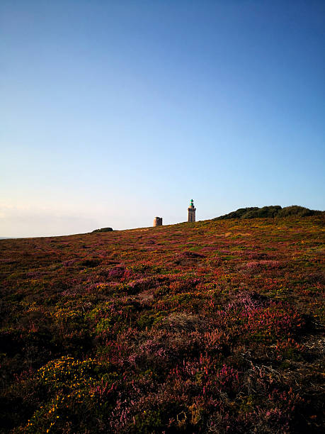 Lighthouse of the Cap Frehel in Brittany