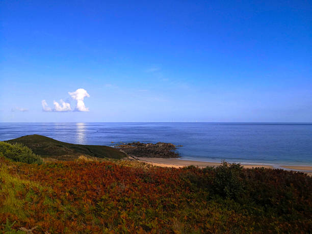 Coastline of the Cap Frehel in Brittany