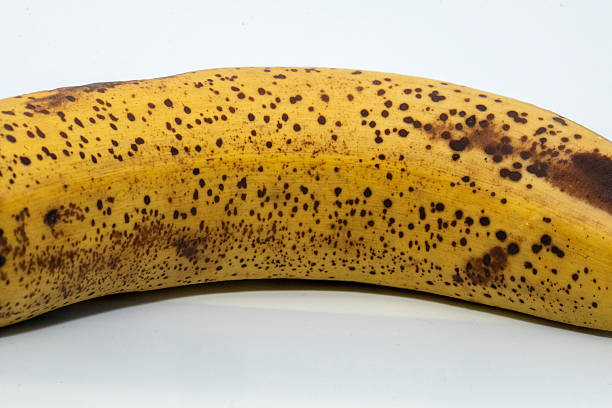 A perfectly ripe, spotted banana in Sydney, NSW, Australia. (Photo by Tara Chand Malhotra)