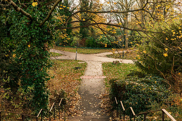 Newcastle upon Tyne UK: 17th Nov 2025: Stairs lead down to Leazes Park, covered in fallen leaves, with trees lining the sides. It is late afternoon, and the area shows signs of autumn