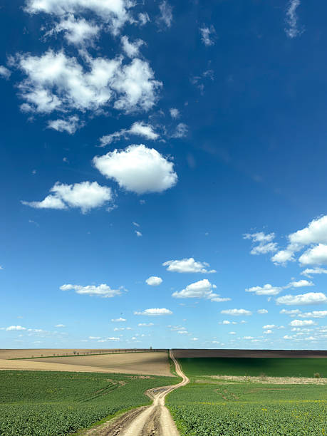 Countryside landscape with a winding dirt road crossing cultivated fields under a sunny sky