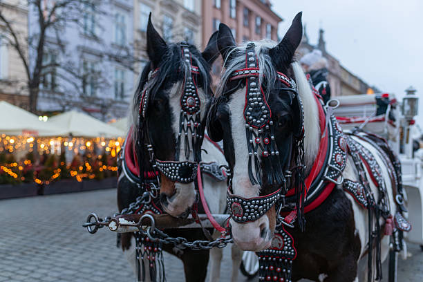 Two decorated carriage horses standing side by side in festive harnesses. Traditional urban transport scene combining animal strength, holiday atmosphere, and classic city lifestyle imagery.
